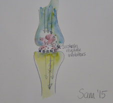 sam-murton-SSR-picture-small
