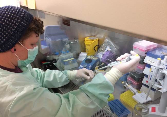 Jackson-Treece-in-Jo-Stanton's-lab-image