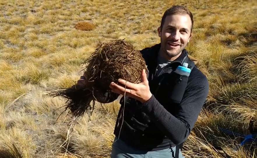 Dr Nick Foster holding a hedgehog in its hibernaculum image