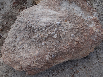 Boulder of silcrete (“Sarsen stone”, about 0.5 metre across) in which the original quartz pebble framework is still visible on the surface.