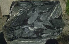 Broken up mylonite intruded by pseudotachylyte or friction melt, the result of momentary high temperatures developed during coseismic frictional sliding