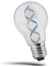DNA in a lightbulb 2