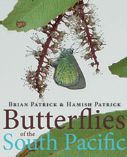 Patrick book 33