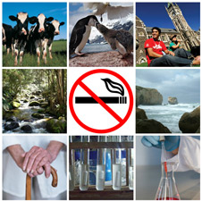 Research-themes-small-image