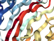 Cropped picture of a protein depicted in cartoon format.
