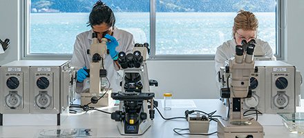Students in the Portobello Marine Laboratory July 2020 Image 1x