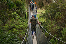 A picutre of a student walking across swing bridge in a native forest on a Unipol Outdoor Adventure