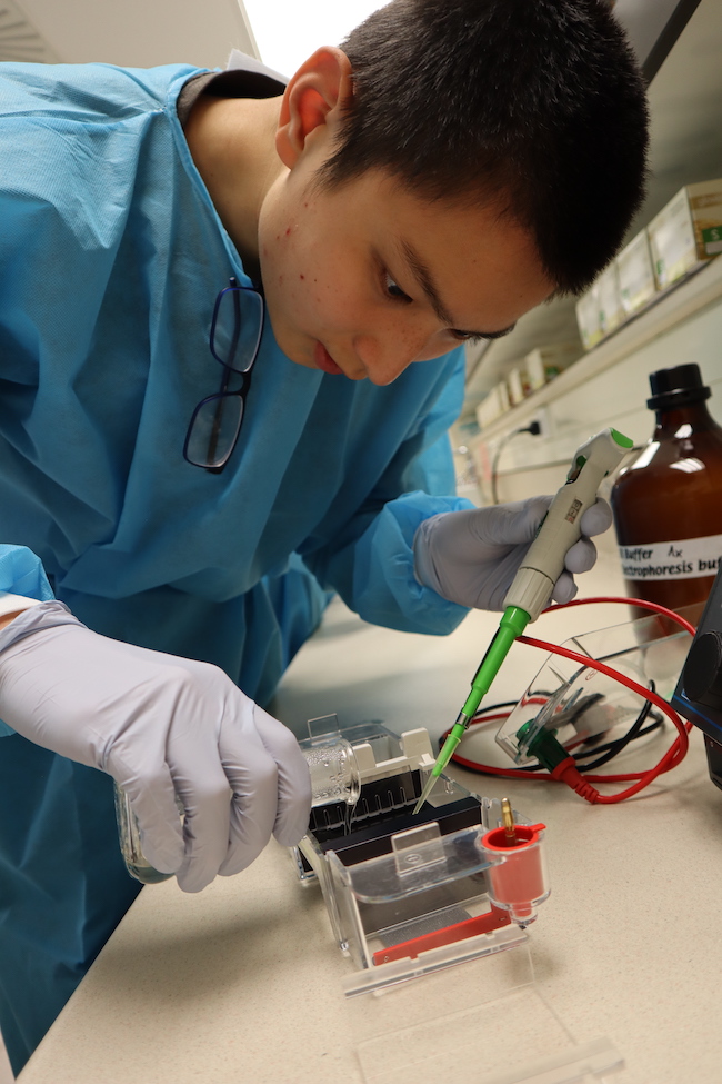 A male student wearing a blue lab coat leans over electrophoresis equipment, pouring a gel and holding a pipette at the same time.