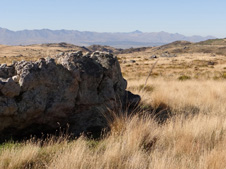 Large silcrete block (foreground) in a field of scattered silcrete boulders lying at the flat Miocene unconformity. The unconformity is on schist basement at the Waipounamu<br/> Erosion Surface, Garibaldi historic alluvial gold mining area. Background skyline is greywacke mountains uplifted along the Waihemo and Hawkdun Fault Zones on the<br/> Otago northeast margin