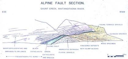 In the diagram of the Gaunt Creek outcrop:. The overthrust gravels form a sequence of river deposits and talus fans and are dated between 13,000 and 10,000 yr BP. Taking into account the oblique slip direction, slip rate on the fault is calculated as at least 18-24 mm/yr.
