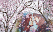 Hongi mural through blossom image