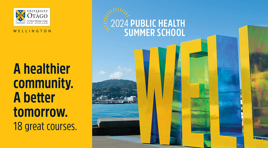 2024 Public Health Summer School flyer 