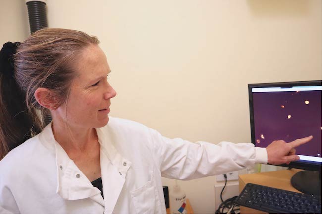 Anita Dunbier wearing a lab coat and pointing at microscope image of cells on a screen