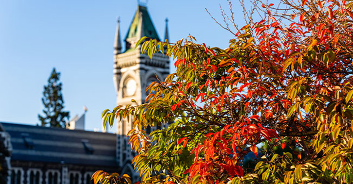 autumnal leaves in front of clocktower 