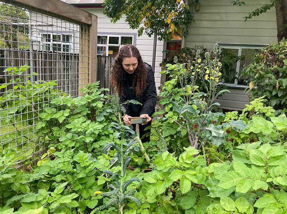 A young woman take photos of plants with her phone.