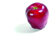 Photo of red apple