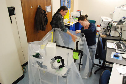 Glove box in construction