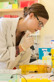 Kathy Sircombe pipetting in the lab