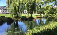The Avon River<br />Photo: Gabi Dachs
