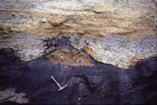 This coal outcrop at Kaitangata, south of Dunedin, has abundant pyrite along the upper margin of the seam