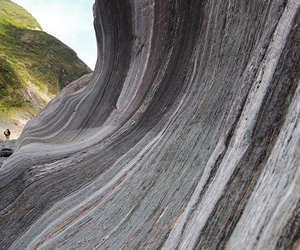 The Wave- Schist outcrop exposed after glacial erosion processes gave it a smooth curvy surface, Franz Josef.