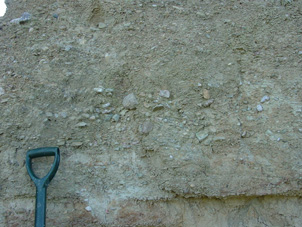 Pliocene gravels at Naseby, dominated by greywacke cobbles and pebbles (greenish brown). Layers rich in quartz (pale) are also enriched in gold and were mined historically