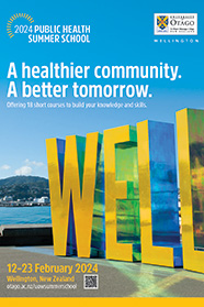 2024 Public Health Summer School flyer cover