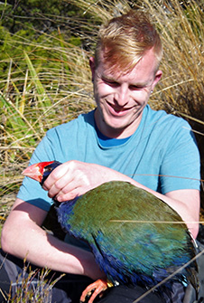 Alex Verry holding a takahē, outdoors surrounded by tussock and flax plants