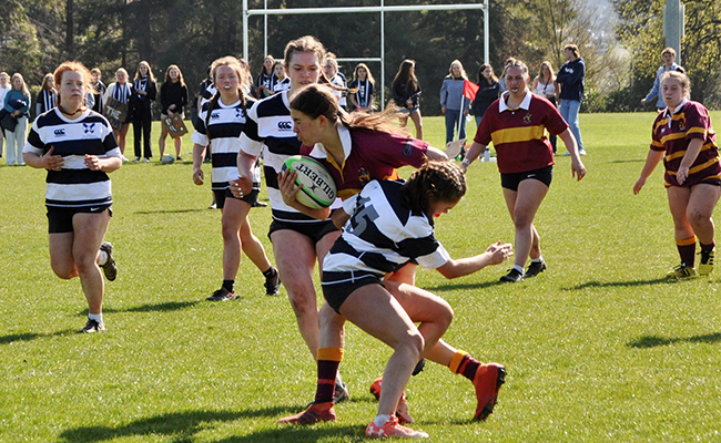 Cameron Shield 2022 image 1