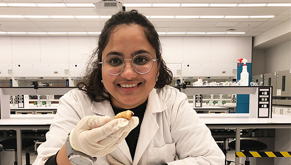 Edible Insects researcher graduates with PhD | University of Otago