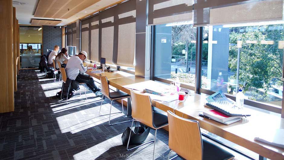 Students in the Marsh Study Centre sitting and studying at a long bench along a window
