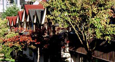 Mews Flats