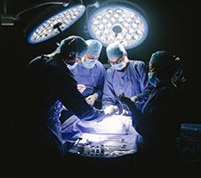 Surgical Approaches Workshop