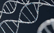 DNA - generic - thumbnail