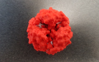 Plastic model of an insulin hexamer.