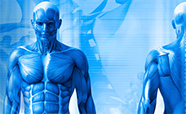 Health sciences banner thumb