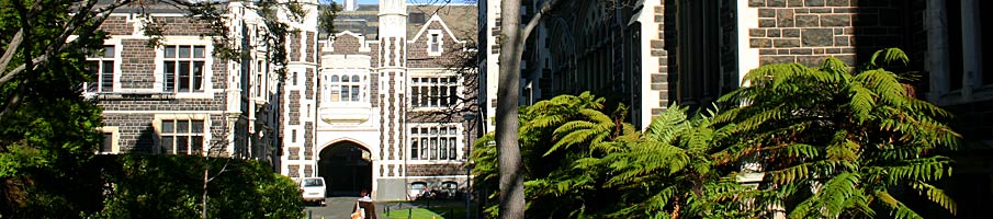 Greenery in the University Quadrangle