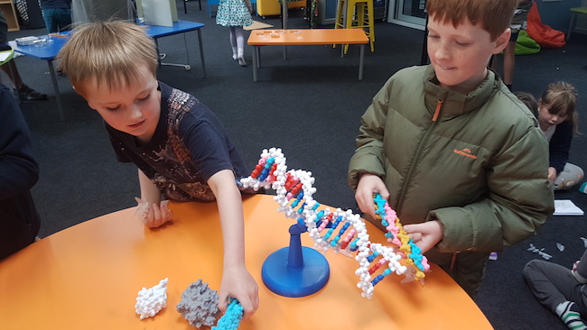 Kids at Ravensbourne play with DNA model_650