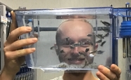 Kaj Kamstra looking at zebrafish_thumb