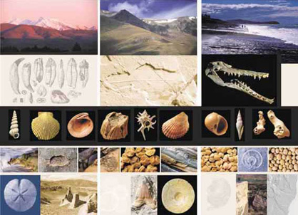 Vanished World images - fossils, rocks and landscapes of North Otago.