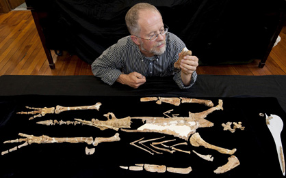 Ewan Fordyce with composite skeleton of the giant Kairuku penguin, Geology Museum, University of Otago.