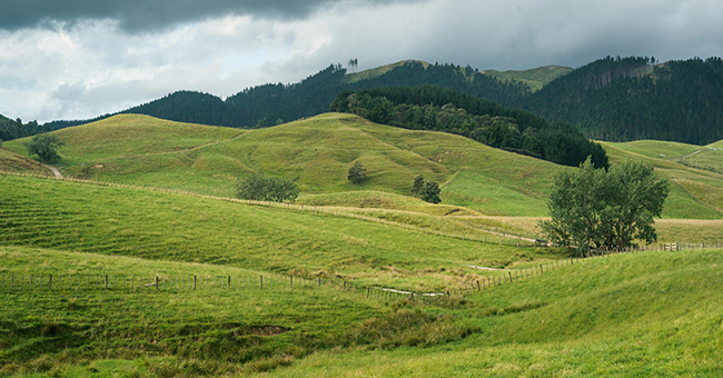 Rural outlook with green grass paddocks and rolling hills image.