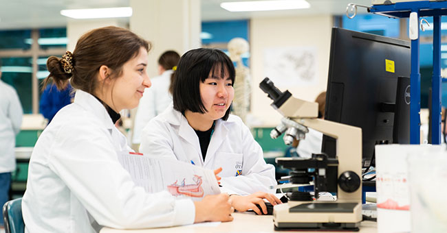 Researchers in a lab using microscope