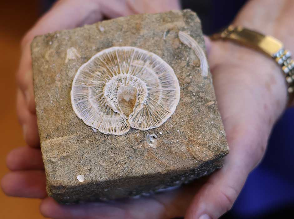 A hand holding square shaped piece of rock with a circular fossil in the centre