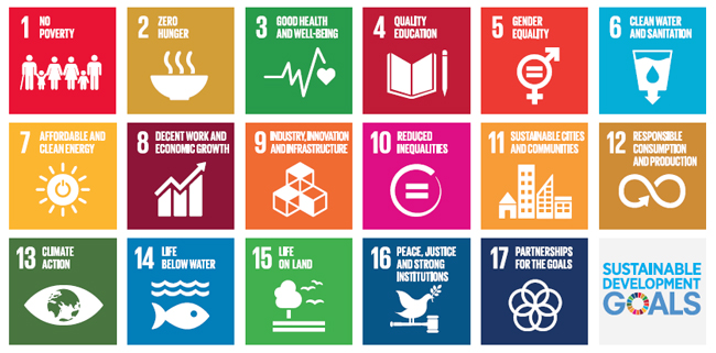 UN-goals-image