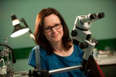 Desiree Dickerson sitting at microscope