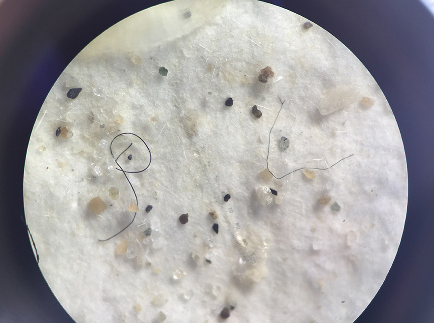 Plastic fibers through microscope image