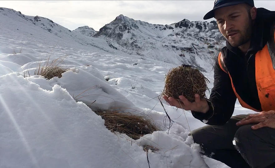 Dr Nick Foster with hibernating hedgehog in snow image