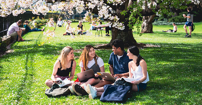 Students sitting on the lawn under a tree talking with each other