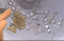 Microscopic parasites in a poo sample, viewed using Techion's device.